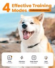 Dog Shock Collar 4265ft Dog Training Collar With Remote For Large Medium Smal