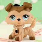 Mini Pet Shop Lps Brown Collie  893 Action Cartoon With Accessories Kids Gift