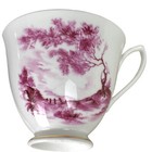Vintage Shelley Cup Saucer Rural England 14305 Red Scene Hand Painted Teacup