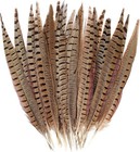 20pcs Male Pheasant Feather Natural Ringneck Tails Feathers 16-18inch 40-45cm   