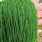 Vintage Czech Seed Beads 11 0 2mm Translucent Green Luster Bohemian Glass Beads 