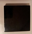  Boy Scouts Of America Bsa Eagle Encased In Lucite 1975 Bucktail Council 3 