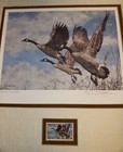 1987 Canada Wildlife Habitat Conservation Stamp   Duck Print  signed   Numbered 