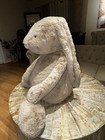 Jellycat Bashful Bunny Large Beige Plush Stuffed Animal 24-36 In  2025 