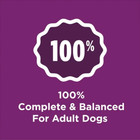 2 Bags Purina Dog Chow Complete Dry Dog Food For Adult Dogs  Lamb  44 Lb Bag