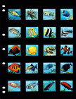  49 70 Scott Value - 1996 Dominica Fish Definitives Caribbean Sea Cv Mnh Nh Umm