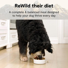 Rawmix Grain Free Dry Dog Food  Great Plains Kibble  20lb Bag