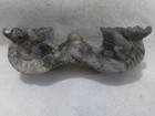 8 27 Ancient Chinese Tang Dynasty Jade Double Dragon Artifact 600-900 Ad