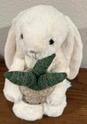 Jellycat Cream Bunny With Plant Authentic W  Dust Bag Medium 12 2  Same Day Ship