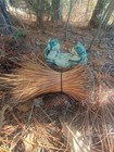       louisiana Native Long Leaf Pine Needles 10 Oz Crafting Decor Weaving 7    C4      
