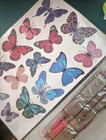 Craft Buddyus Ca-fstbut1  Crystal Art  butterfly  Sticker Set