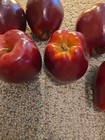 Set Of 6 Pieces Realistic Artificial Faux Fruit Fake Red Apples
