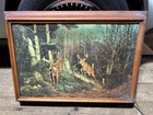 Vtg Helmscene Lighted  89 Whitetail Deer Buck Bar Mancave Tested Usa