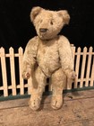 Antique Early 1900   s Vintage 12    Steiff Jointed Mohair Teddy Bear No Button