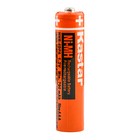 Kastar Aaa Battery For Panasonic Kx-tg9391 Kx-tg9541b Kx-tg9542b Kx-tg9581b Dect