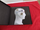 Gb 2009 Stamps Year Book Complete With Mint Stamps Face Value   149 14