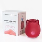 G-spot Massage Rose-inspired Dual-stimulation Toy For Her Gift