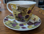 New Tea Cups saucers - All Are Matched - Premium Selection Lot Of 5 Beautifull  
