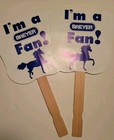 Breyerfest Collection Magnets  Fans  Yoyo  Wristbands  Bolo Tie  Hidalgo Bracele