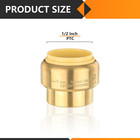 Efield  2 To100 Pack  1 2 Inch Push Fit Plug End Cap Brass Fittings Lead Free