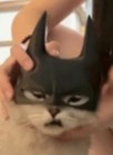 Batman Cat Mask  Cat Batman Face Mask   Bat Cat