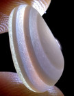 Premium Banded Opalescent Layered Multi Gem - Real Davenport Beach Sea Glass