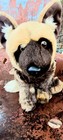 Ganz Webkinz Signature African Wild Dog Wks1066 Plush Retired Stuffed Animal Nc