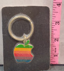 Vintage Keychain Key Chain Ring Rainbow  Macintosh Apple Computer