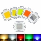 Led Chip High Power Bulb 10w 20w 30w 50w 100w Warm White Rgb Super Led Diy Cob