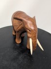 Hand Carved Teak Wooden Elephant With Tusks -  Beautiful  Piece 