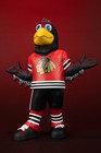 Mcfarlane Toys- Tommy Hawk  chicago Blackhawks  Nhl 8in Vinyl Mascot Figure M   