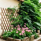 Large Expandable Wooden Garden Trellis For Climbing Plants - 38 x89  Panel