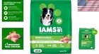 Iams Proactive Health Minichunks Adult Dry Dog Food With Real Chicken  30 Lb Bag