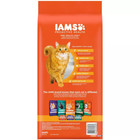 Iams Proactive Health With Salmon Adult Premium Dry Cat Food