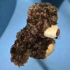 Dan Dee Teddy Bear 13  Plush Toy Stuffed Animal Brown Soft Happy Huggable