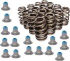 Btr  560  Lift Ls6 Beehive Valve Springs With Hat Seals     Fits 4 8 5 3 5 7 6 0