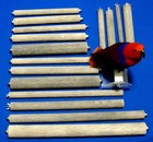 Best Parrot Bird Cage Perch 1 5  X 9   Indestructible Textured Stone Trims Nails