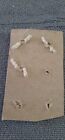 Vtg  Cut Steel Brass Buttons Lot Of 3  Round Shaped Vguc
