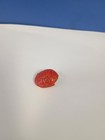Vintage Japanese Red Coral Turtle Ojime Bead - Netsuke Companion - 5 8  X 3 4 