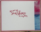 Stampin   up  Any Occasion  Suitable For Anyone