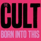 The Cult Born Into This Banner 2x2 Ft Fabric Poster Tapestry Flag Album Art