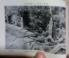 1937 Imperial Japanese Army Photo Book North China Incident Pictorial Wwii