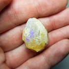 Very Nice Opalized Clam Fossil Australia Lightning Ridge Opal Gem Cooper Mollusk