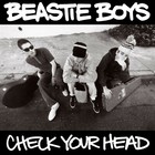 Beastie Boys Check Your Head Banner 2x2 Ft Fabric Poster Flag Album Cover Art