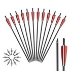 20  Hunting Crossbow Blots Crossbow Arrows  broadheads  lighted Nock  arrows bag
