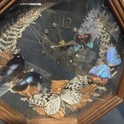 Vintage Butterfly Shadow Box Clock 1970   s   Clock Works  Butterflies Reflective