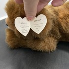 Ty Baby Paws Brown Bear Plush Stuffed Animal Retired 1996 Cuddly Lay Flat