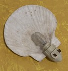 Vintage Real Seashell Night Light Scallop Shell Decorative Beach Decor Untested