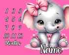 Elephant Milestone Blanket For Baby Girl  Personalized Name  Baby Shower Gift