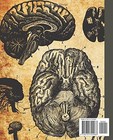 Antique Human Brain Composition Notebook  Vintage Style Human Brain Anatomy Illu